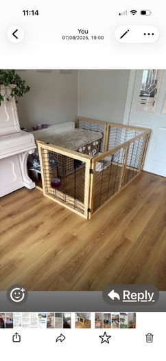 dog gate