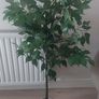 Artificial Tree/Plant Image 3