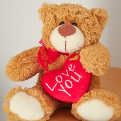 Valentine's Teddy Bear, plush toy