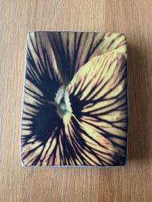 Ceramic Wall Plate