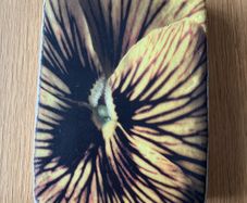Ceramic Wall Plate