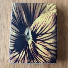 Ceramic Wall Plate