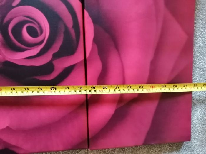 3 piece Canvas wall art
