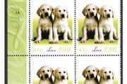 2003 Ireland Greetings Stamp (baby animals puppies) Plate Block 1A1A1A1A Mint Never Hinged (MNH)