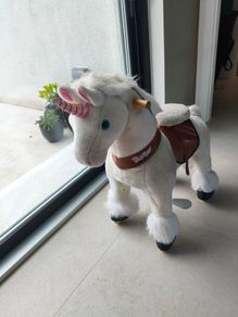 Ponycycle