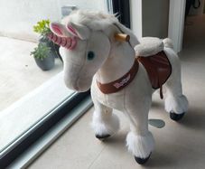 Ponycycle