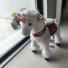 Ponycycle