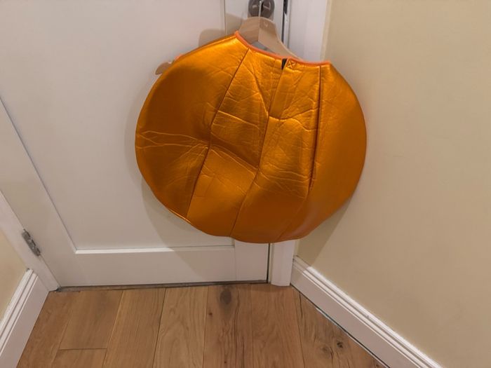 halloween pumpkin costume