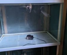fish tank 59x35x45 cm