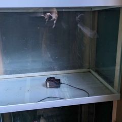 fish tank 59x35x45 cm