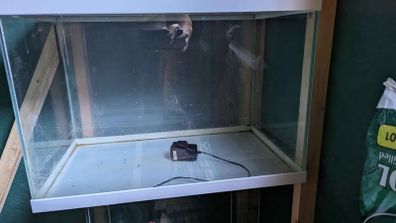 fish tank 59x35x45 cm