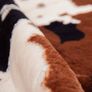 Cowhide Rug (4.6ft x 5.2ft) - Cow Print Area Rug for a Western Boho Decor - Synthetic, Cruelty-Free Animal Hide Carpet with No-Slip Backing Image 4