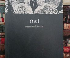 OWL / Desmond Morris/ 2009/ Reaktion Books