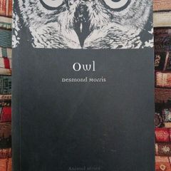 OWL / Desmond Morris/ 2009/ Reaktion Books