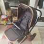 Zummi Buggy Travel (system) Image 4