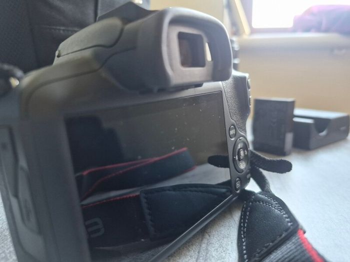 Canon R100