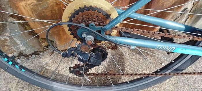 Bargin Ladies Bicycle