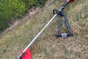 hedge strimmer