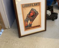 Shell framed poster