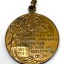 Antique German Kaiser Wilhelm II Thuringian Infantry medal Image 5