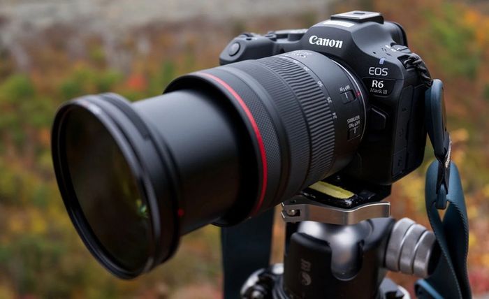 Canon r6 mk iii
