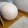 Exercise Ball Image 3