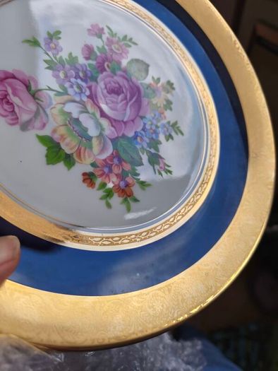 beautiful royal blue and gold plate