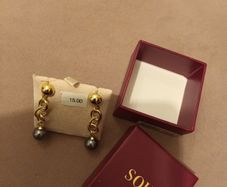 Beautiful drop earrings