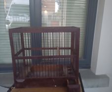 bird finch canary hopper cage I gave my birds away