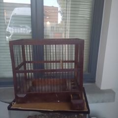 bird finch canary hopper cage I gave my birds away