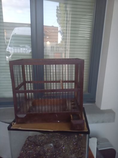bird finch canary hopper cage I gave my birds away