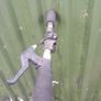 space scooter Image 4