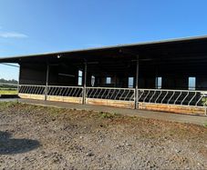 Diagonal cattle barriers