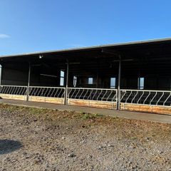 Diagonal cattle barriers