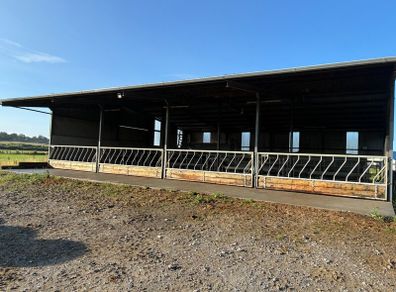 Diagonal cattle barriers