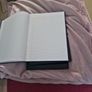 Four hardback Notebooks Image 2