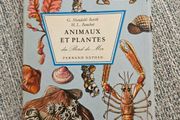 Animals And Plans Of The Sea. Authors: G. Mandahl-barth And M.l. Bauchot  Illustrator: Henning Anthon  Publisher: Fernand Nathan. Beautiful Illustrated Paperback In Good Condition.  See Photos For Same.