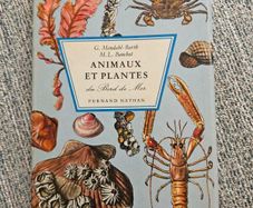 Animals And Plans Of The Sea. Authors: G. Mandahl-barth And M.l. Bauchot  Illustrator: Henning Anthon  Publisher: Fernand Nathan. Beautiful Illustrated Paperback In Good Condition.  See Photos For Same.
