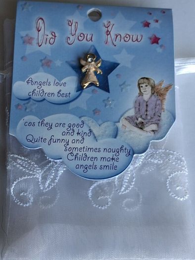 Guardian Angel Gift Pin Keepsake & Gift Bag