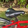 Frog 55 bike Image 3