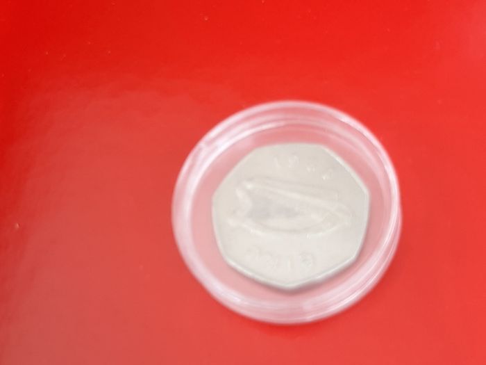 50p coin in case