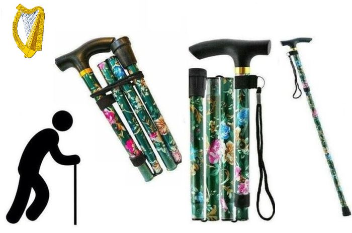 Folding Walking Stick, Green Floral.