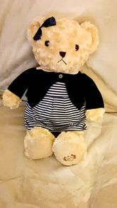 Teddy Bear