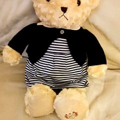 Teddy Bear
