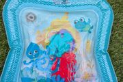 Baby Einstein Sensory Splash Water Mat
