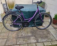 ladies bicycle