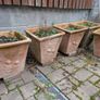 5 Large Terracotta Planters Image 3