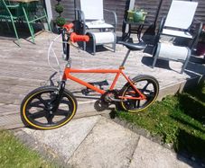 Raleigh Mag Styler