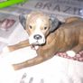Boxer dog figurine, similar in style to those produced by brands like Leonardo Collection or Border Fine Arts Image 2