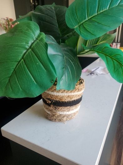 Faux Plant